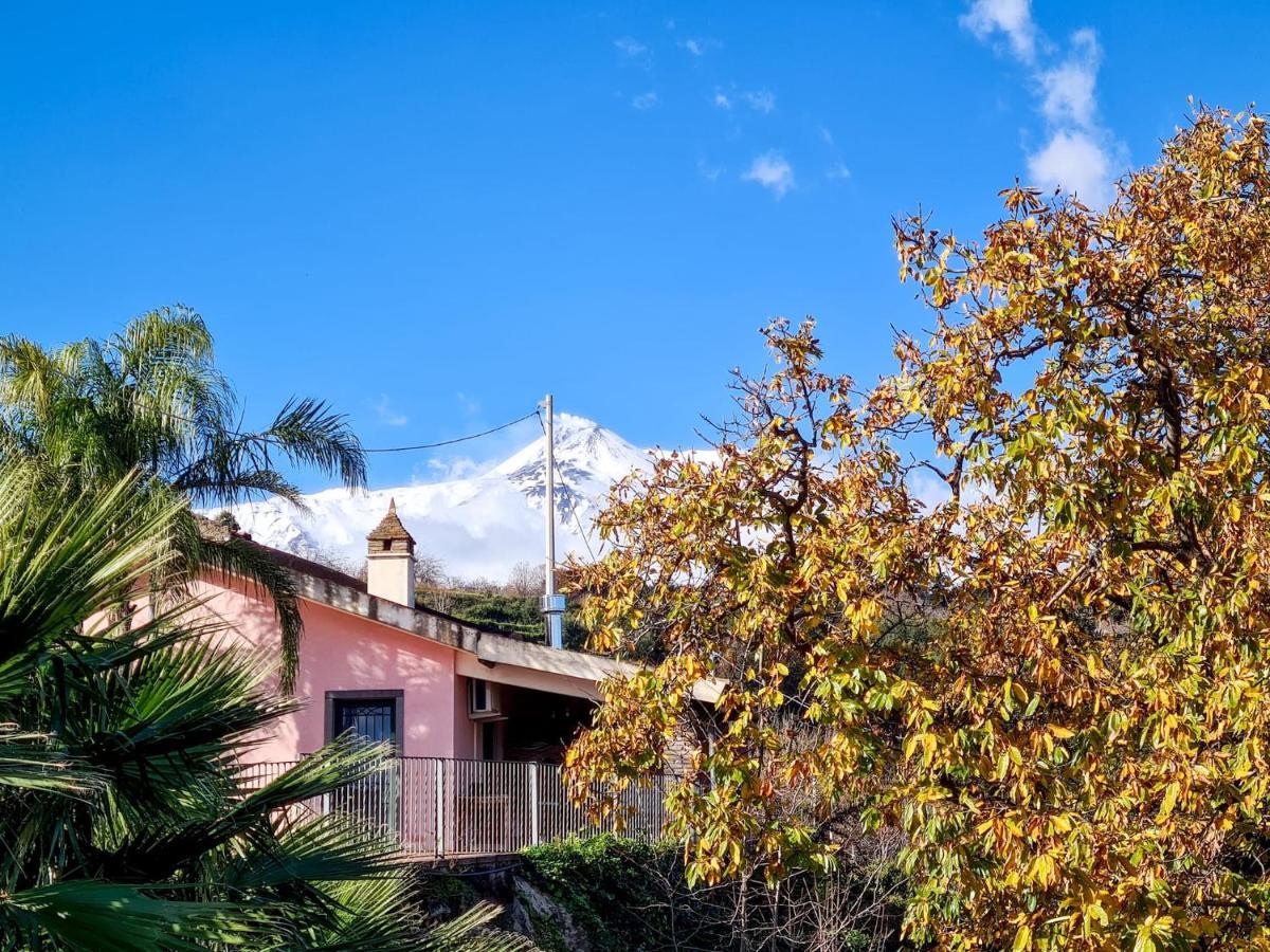 Villa Panoramica Dell'Etna SantʼAlfio Екстериор снимка