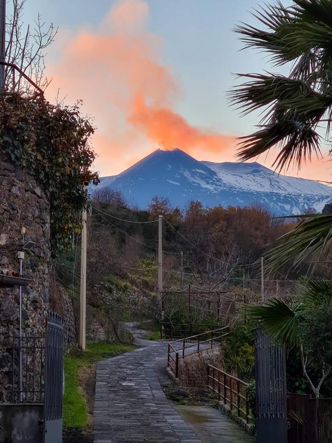 Villa Panoramica Dell'Etna SantʼAlfio Екстериор снимка