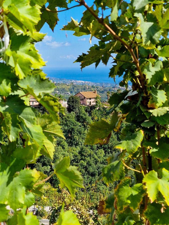 Villa Panoramica Dell'Etna SantʼAlfio Екстериор снимка